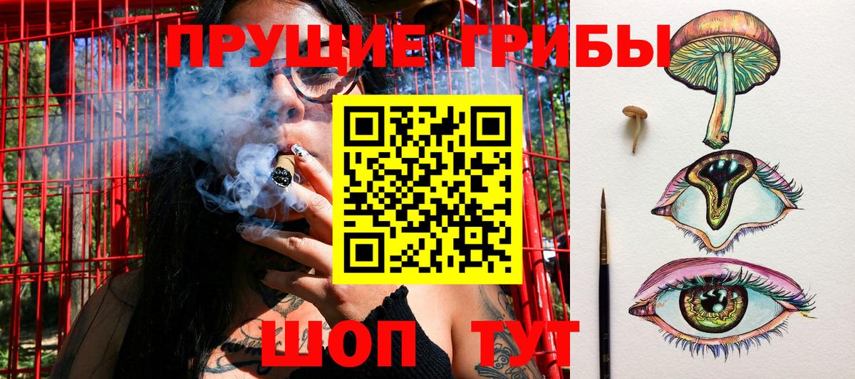 Псилоцибиновые грибы GOLDEN TEACHER Чапаевск